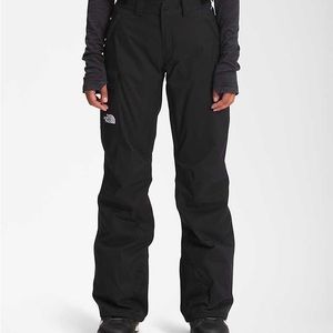 NWOT North Face Women’s Freedom Insulated Pants XL